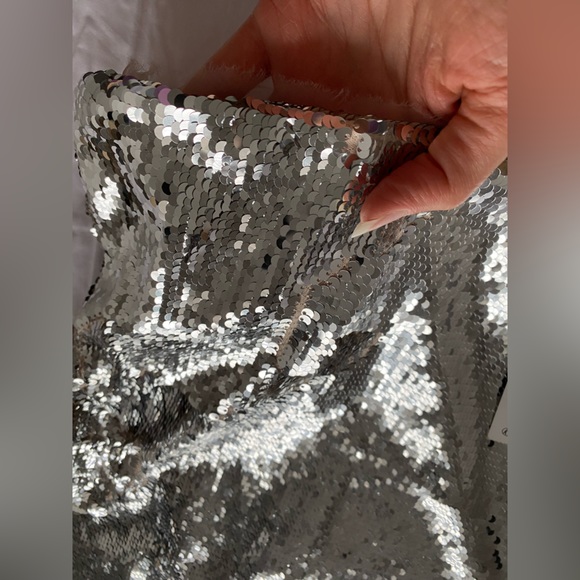 Zara Sequin appliqué Strapless Midi Dress Organza Tulle hem Silver Size XS NWT - Picture 13 of 16